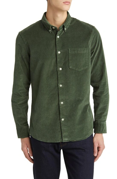 Nordstrom Tech-smart Trim Fit Stretch Cotton Button-down Shirt In Green Ivy