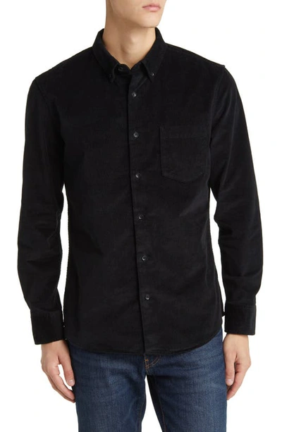 Nordstrom Tech-smart Trim Fit Stretch Cotton Button-down Shirt In Black