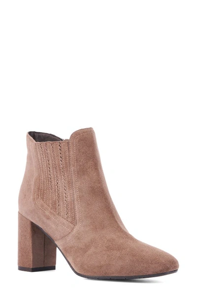 Aquatalia Lanna Zip Bootie In Mink