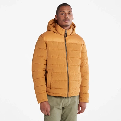 Timberland Men's South Twin Puffer Jacket In Multi