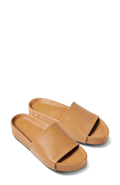 Beek Pelican Slide Sandal In Honey/honey