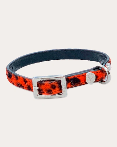 Shaya Pets Red Leopard Taylor Collar Leather