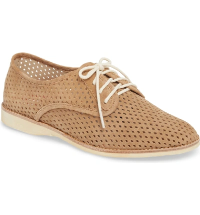 Rollie Punch Perforated Derby In Taupe