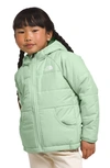 The North Face Kids' Perrito Reversible Water Repellent Jacket In Misty Sage