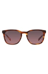 Costa Del Mar Sullivan 53mm Gradient Polarized Square Sunglasses In Rose