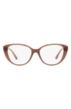 Michael Kors Amagansett 53mm Cat Eye Optical Glasses In Pink