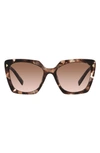 Prada 52mm Square Sunglasses In Brown Tort