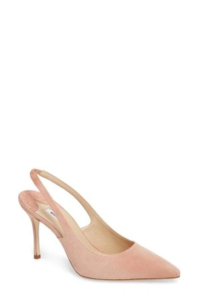 Manolo Blahnik Allura Slingback Pointy Toe Pump In Blush Suede