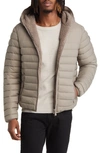Save The Duck Morus Water Resistant Hooded Puffer Jacket In Elephant Grey
