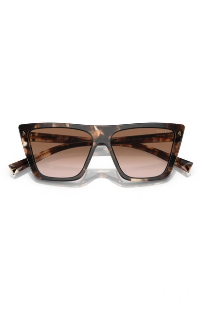 Prada 56mm Square Sunglasses In Brown Tortoise
