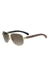 Kate Spade 'dalia2' 58mm Aviator Sunglasses In Gold Pattern Beige/ Brown