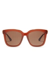 Diff 54mm Hailey Square Sunglasses In Nutshell