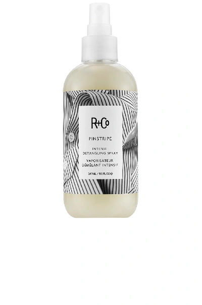 R + Co Pinstripe Intense Detangling Spray