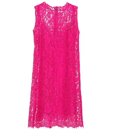 Dolce & Gabbana Cotton-blend Lace Dress In Pink