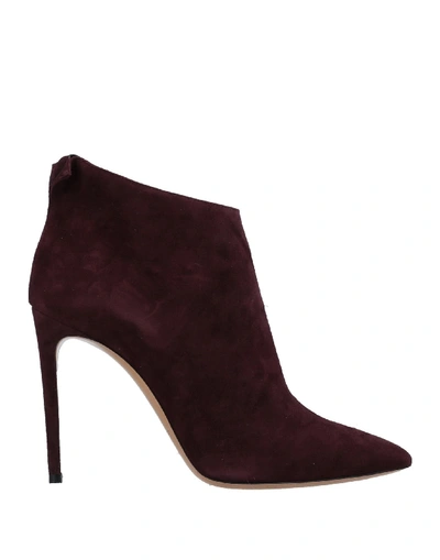 Casadei Ankle Boot In Maroon