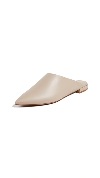 Vince Danna Siviglia Calf Leather Mules In Greige Nude