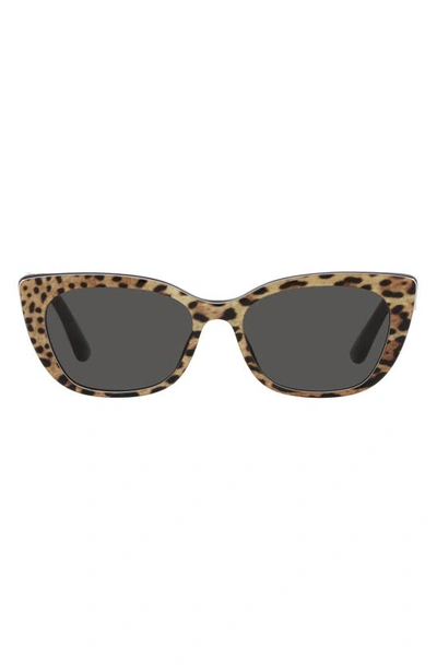 Dolce & Gabbana 49mm Small Cat Eye Sunglasses In Dark Grey