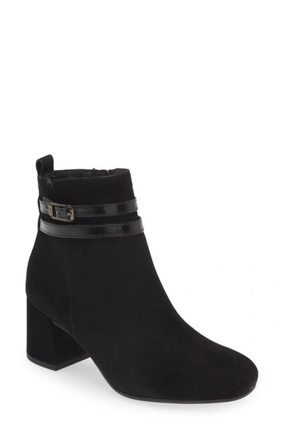 Paul Green Sydney Buckle Bootie In Black Suede Combo