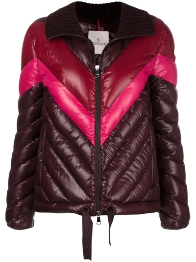 Moncler Albatros Tricolor Puffer Jacket W/ Knit Collar In Burgundy Multi