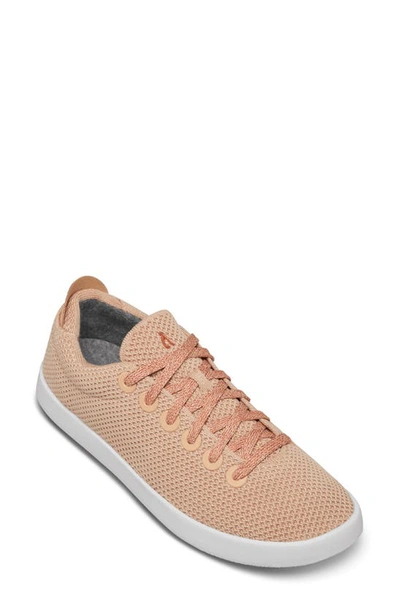 Allbirds Tree Piper Sneaker In Wasatch/ White