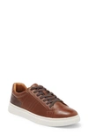 Steve Madden Tucker Sneaker In Tan