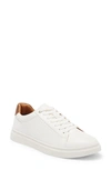Steve Madden Tucker Sneaker In White