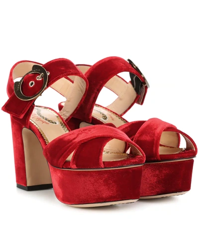 Charlotte Olympia Aristocat 90 Velvet Plateau Sandals In Red