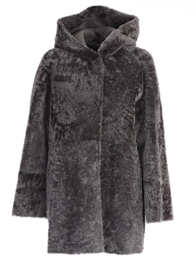 Drome Montone Hooded Coat In Grey