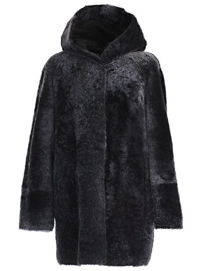 Drome Montone Hooded Coat In Black