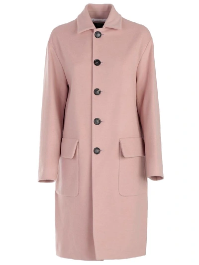 Dsquared2 Single-breasted Coat In Pink