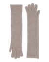 Gentryportofino Gloves In Beige