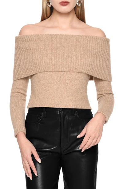 Wayf Georgie Off The Shoulder Sweater In Mocha