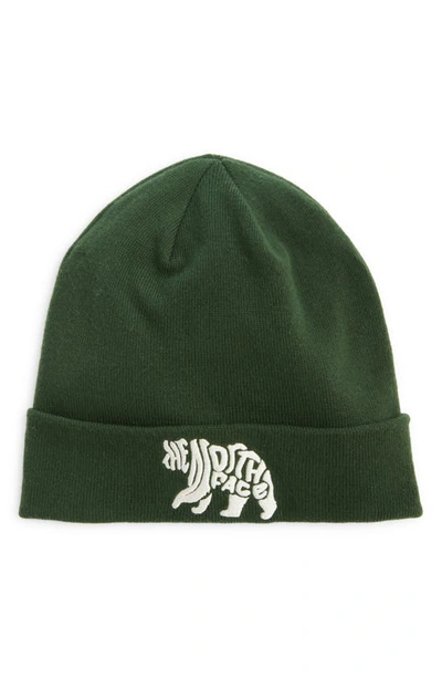 The North Face Dock Worker Recycled Beanie In Pine Needle/ Bear Graphic