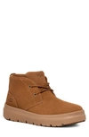 Ugg Burleigh Chukka In Chestnut