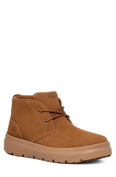 Ugg Burleigh Chukka In Chestnut