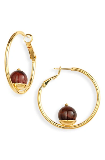 D'estree Small Sonia Hoop Earrings In Tiger Eye