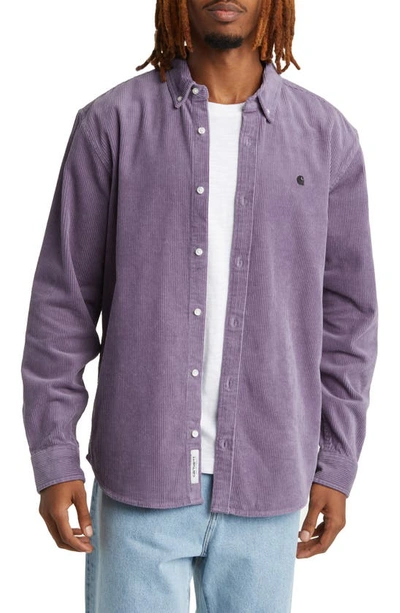 Carhartt Madison Corduroy Button-down Shirt In Glassy Purple / Black