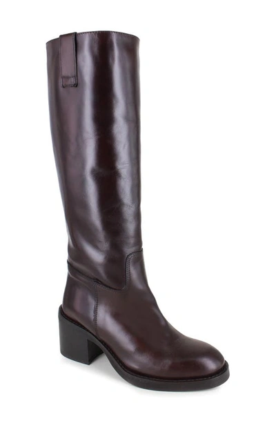 Ziginy Isle Water Resistant Knee High Boot In Brown Leather