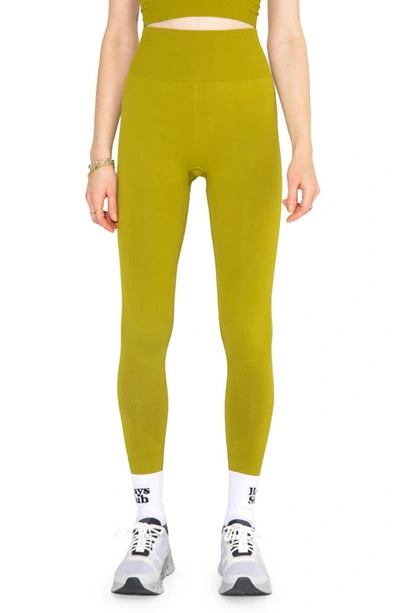 Halfdays Sophia Rib High Waist Legging In Mustang