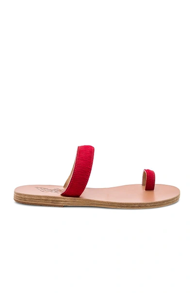 Ancient Greek Sandals Thalia Sandal In Red