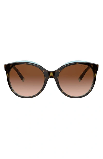 Tiffany & Co Women's Pillow Cat Eye Sunglasses, 55mm In Brown Gradient