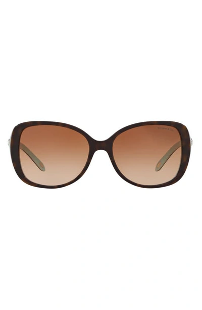 Tiffany & Co Women's Pillow Cat Eye Sunglasses, 55mm In Havana Blue Tiffany Brown Grad