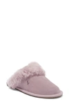 Koolaburra By Ugg Milo Genuine Shearling Scuff Slipper In Elderberry