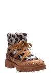 Ninety Union Snowball Faux Shearling Lug Sole Bootie In Leopard Multi