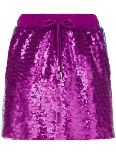 Alberta Ferretti Rainbow Week Skirt In Purple