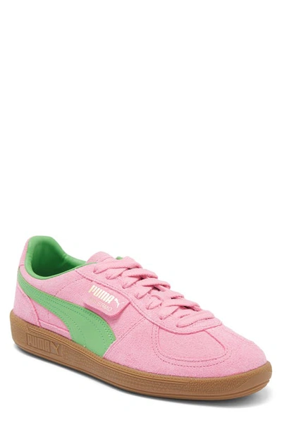 Puma Palermo Special Sneaker In Gum/pink Delight/green