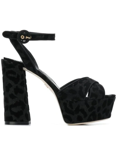 Dolce & Gabbana Keira Sandals In Black