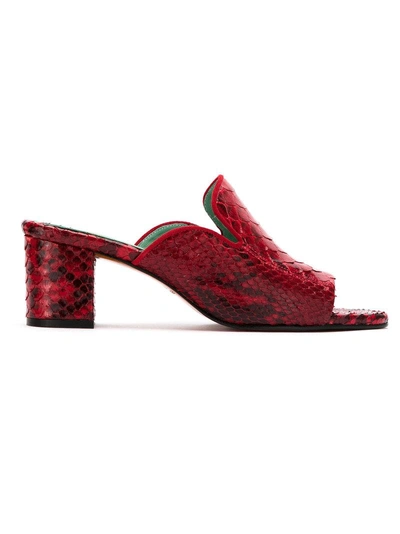 Blue Bird Shoes Python Skin Mules In Red