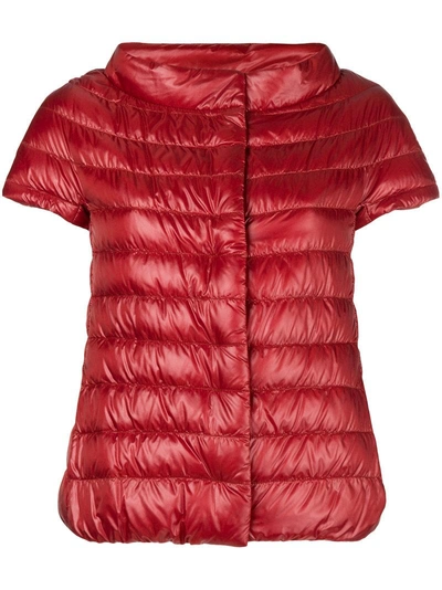 Herno Short Sleeve Puffer Jacket - Red | ModeSens