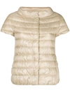 Herno Shortsleeved Padded Jacket In Neutrals